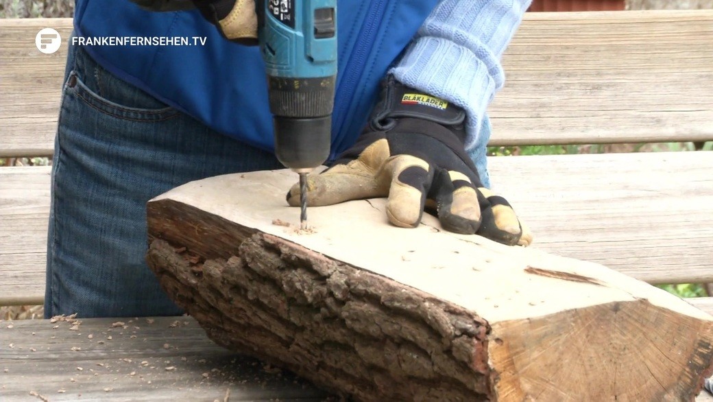 Von Alaska bis nach Feuerland: Als Familie um die Welt | Franken Fernsehen