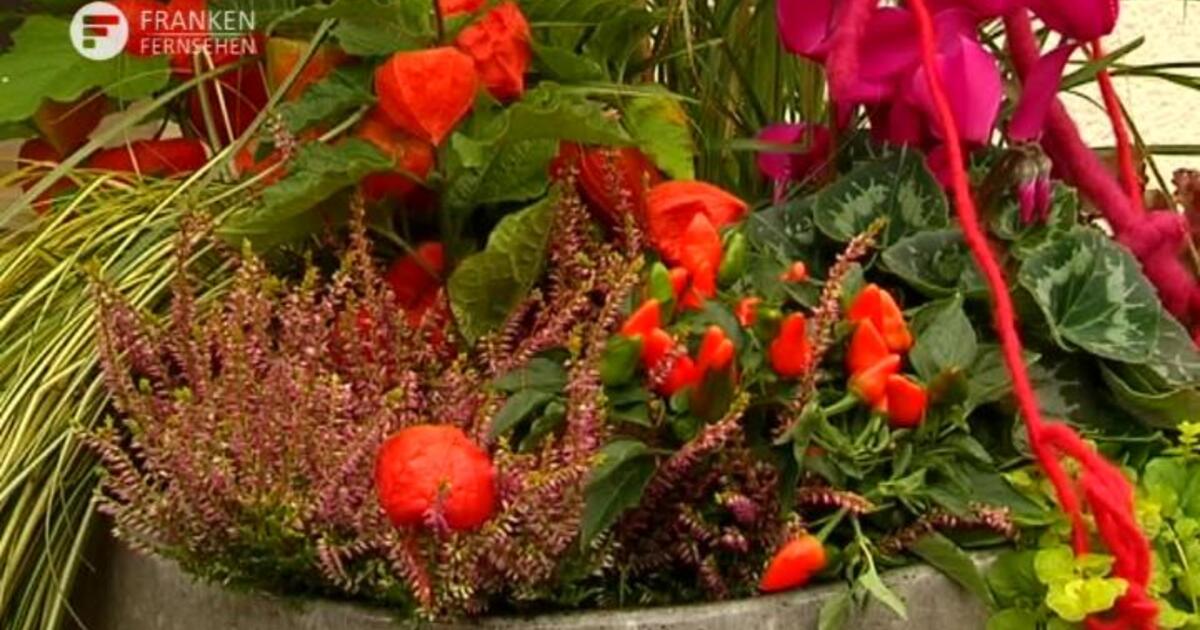 Blatt Und Blute Herbstlicher Hauseingang Franken Fernsehen